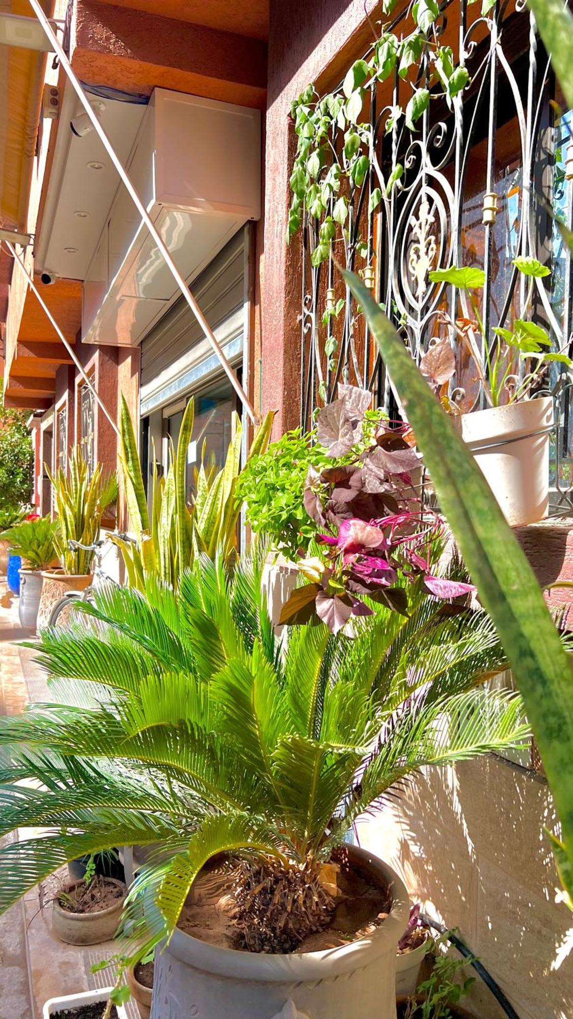 Sabor Aparts Jawharat Al Atlas -Only Family Marrakesh Exterior photo